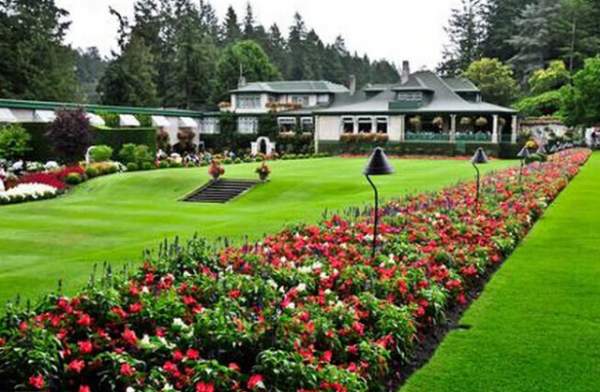 學(xué)習(xí)國外苗木行業(yè)經(jīng)驗，搶先了解國內(nèi)市場動態(tài)