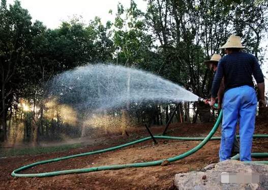 行道樹(shù)澆水