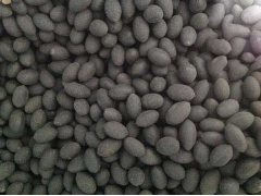 陜西哪里有賣荷花種子的？