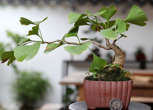 1648603423610307.jpg 1648603423610307.jpg