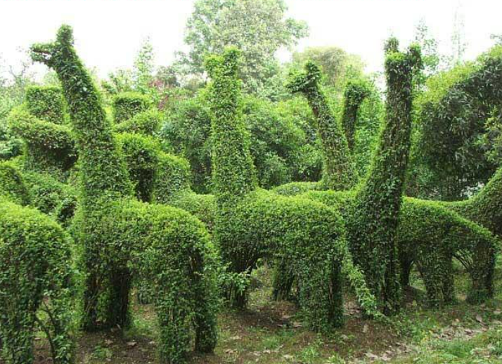 1648609169530426.png 1648609169530426.png