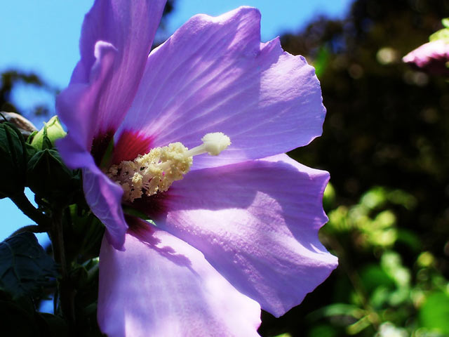 1650627926910092.jpg 1650627926910092.jpg